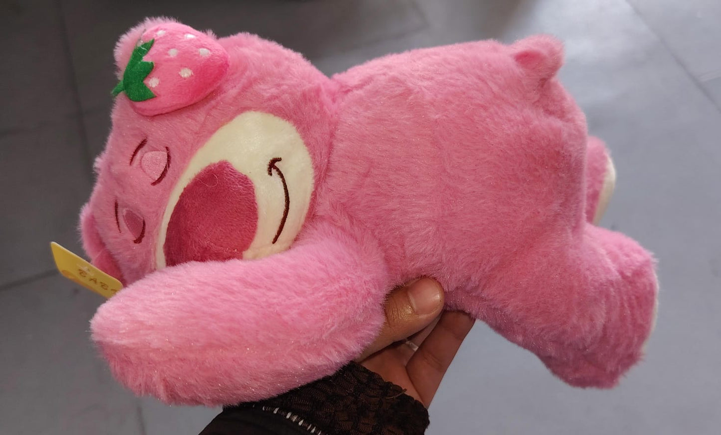 Peluches variados 25cm con ventosa. W207