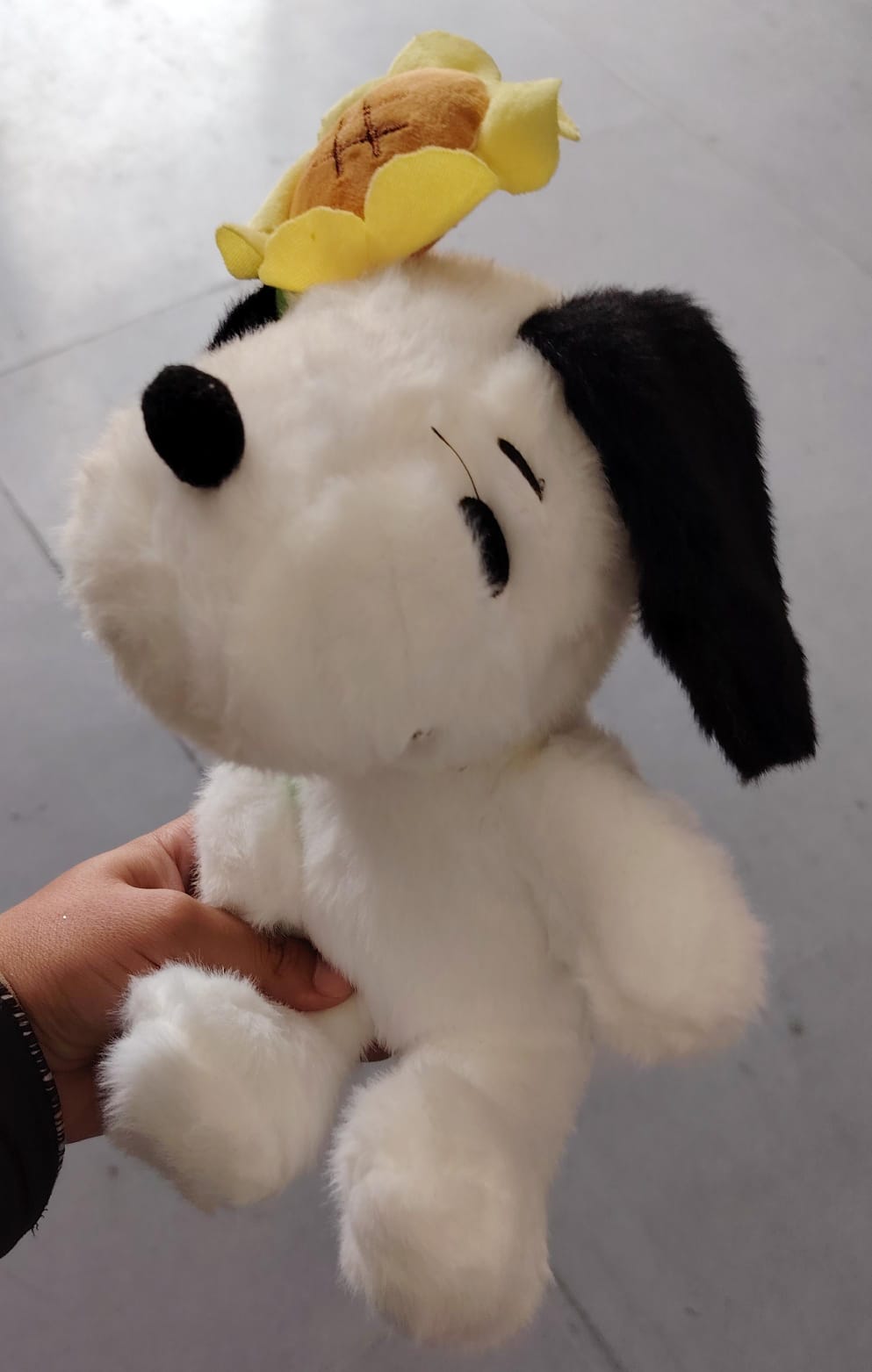 Peluches variados 25cm con ventosa. W207