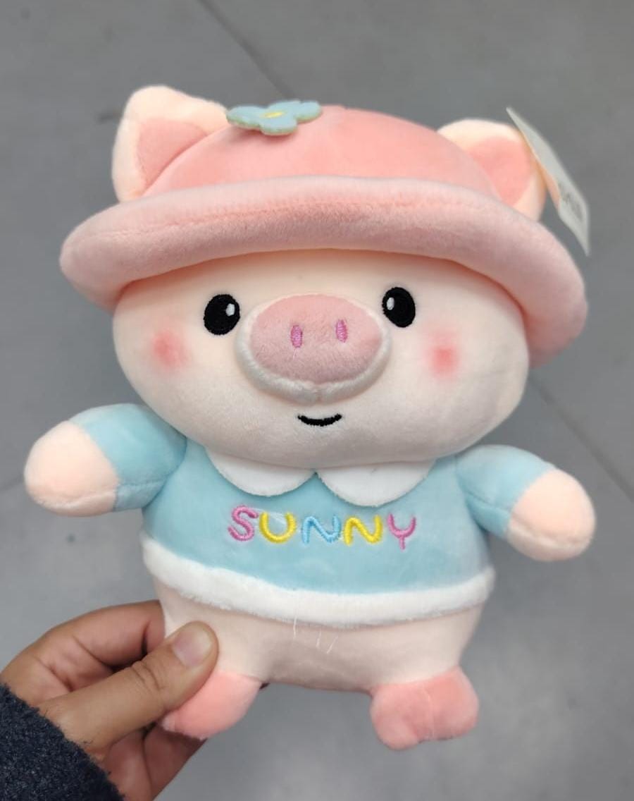 Peluches variados 25cm con ventosa. W207