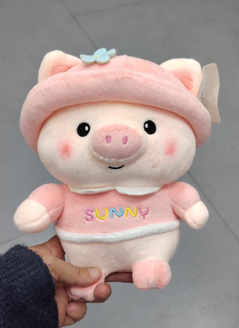 Peluches variados 25cm con ventosa. W207