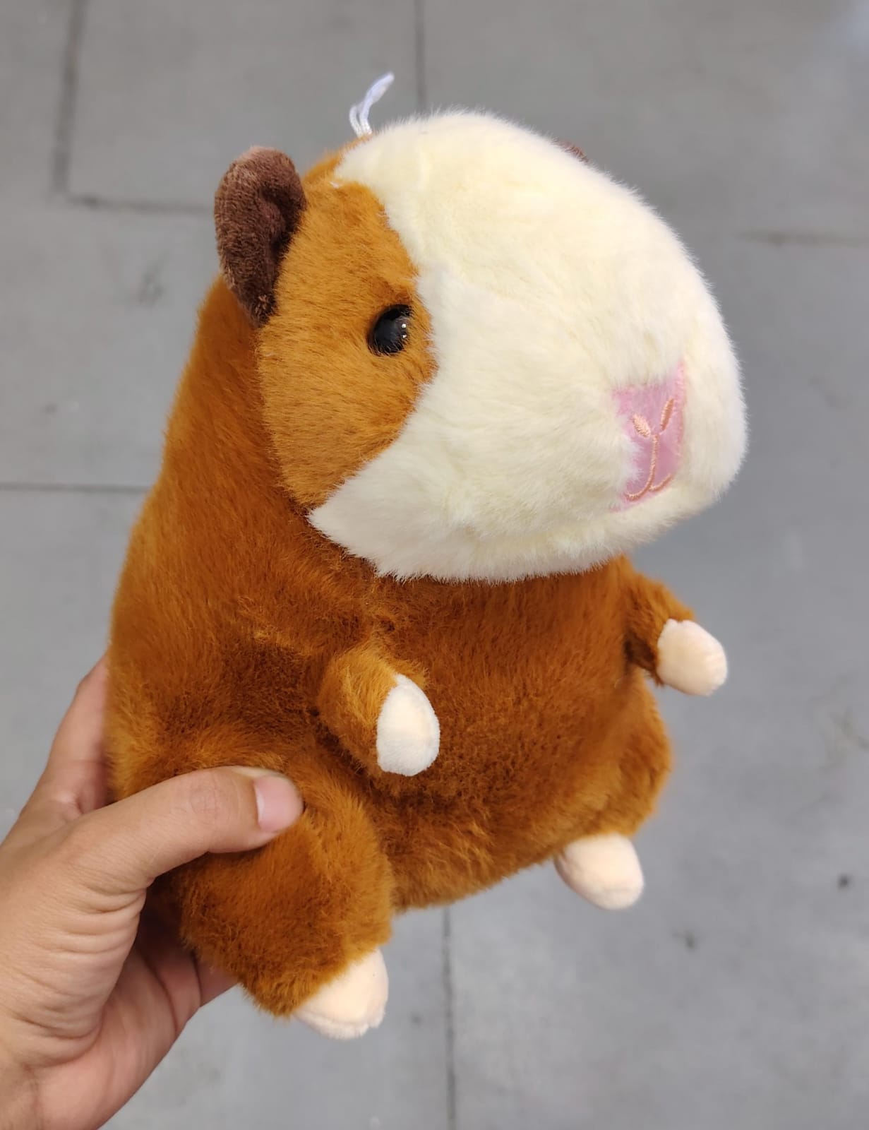 Peluches variados 25cm con ventosa. W207