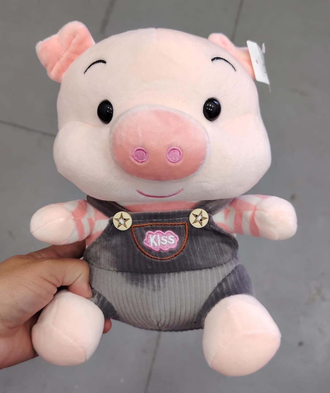 Peluches variados 25cm con ventosa. W207