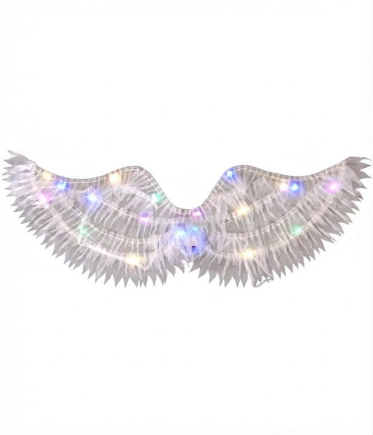 Alas de ángel con luz. GJ573